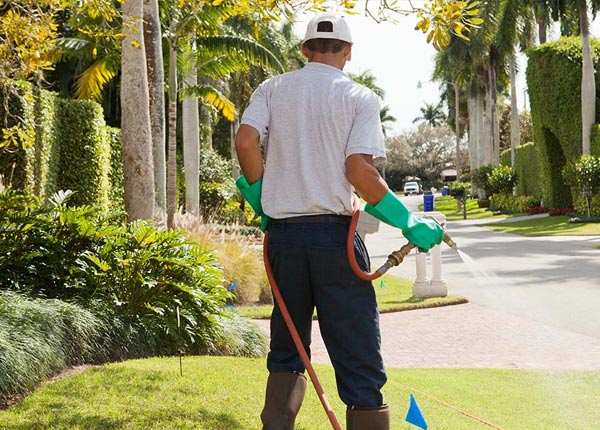 About Bluffton AR Pest Control Pros